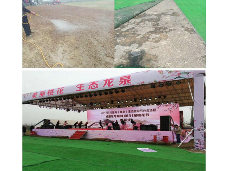 37四川龍泉驛某觀光場(chǎng)地草坪固化